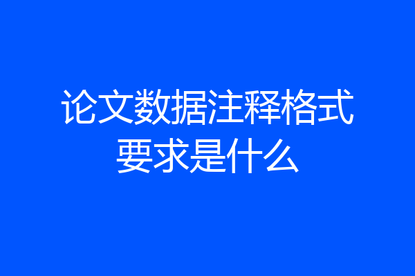 论文数据注释格式要求是什么