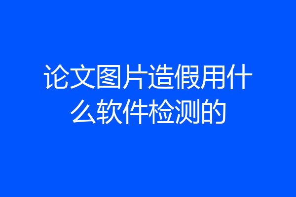 论文图片造假用什么软件检测的