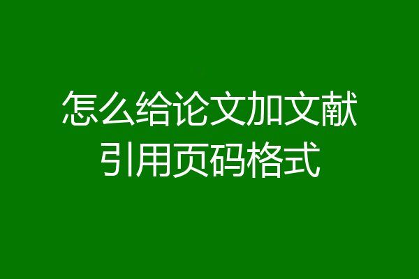 怎么给论文加文献引用页码格式