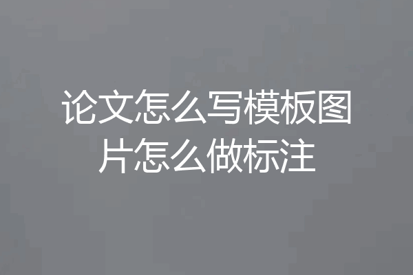 论文怎么写模板图片怎么做标注