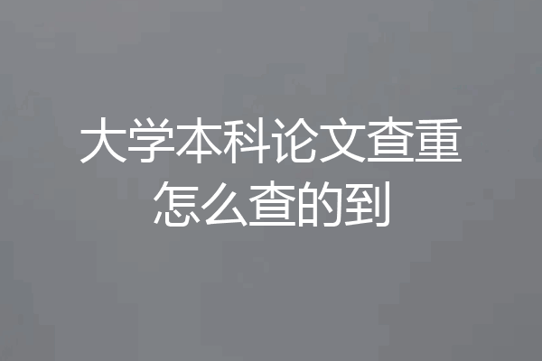 大学本科论文查重怎么查的到