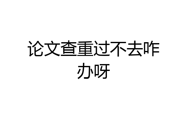 论文查重过不去咋办呀