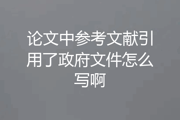 论文中参考文献引用了政府文件怎么写啊
