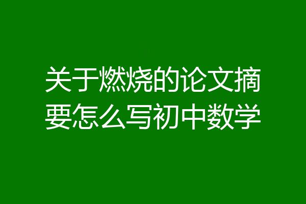 关于燃烧的论文摘要怎么写初中数学