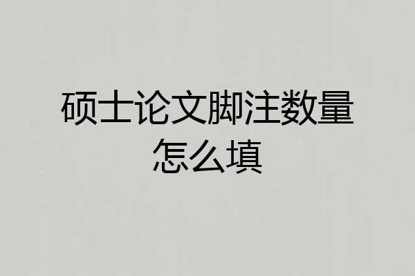 硕士论文脚注数量怎么填