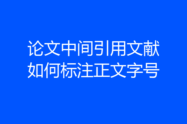 论文中间引用文献如何标注正文字号