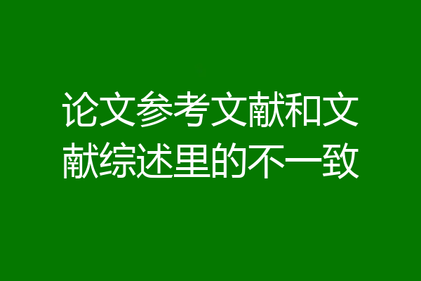 论文参考文献和文献综述里的不一致