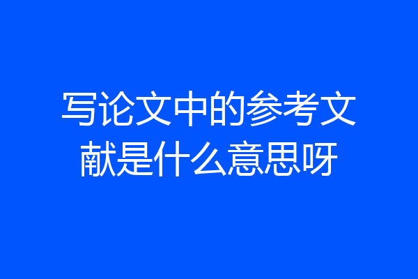写论文中的参考文献是什么意思呀