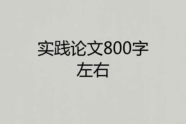 实践论文800字左右