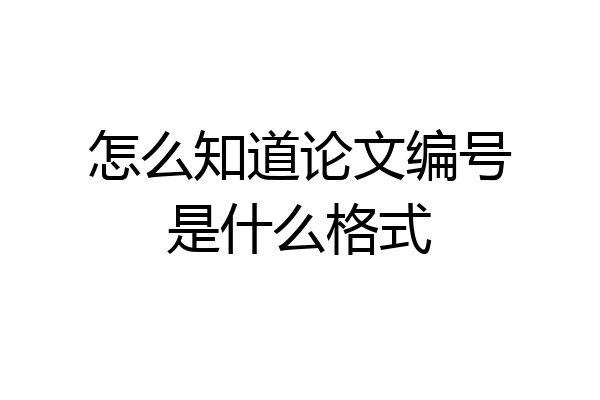 怎么知道论文编号是什么格式
