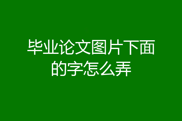 毕业论文图片下面的字怎么弄