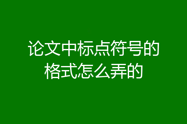 论文中标点符号的格式怎么弄的