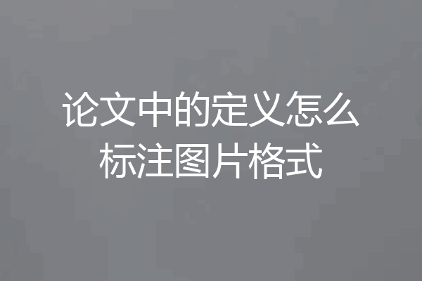 论文中的定义怎么标注图片格式