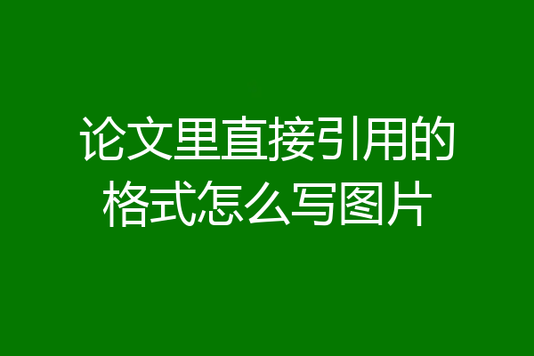 论文里直接引用的格式怎么写图片