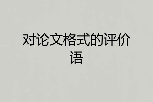 对论文格式的评价语