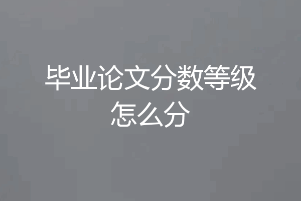 毕业论文分数等级怎么分