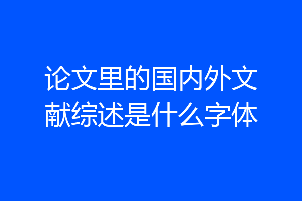 论文里的国内外文献综述是什么字体