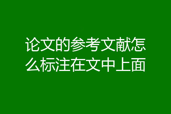论文的参考文献怎么标注在文中上面