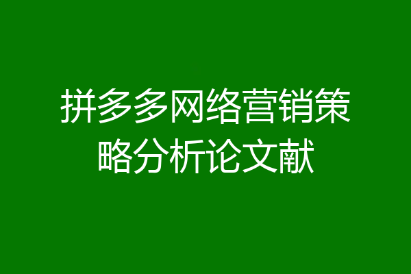 拼多多网络营销策略分析论文献
