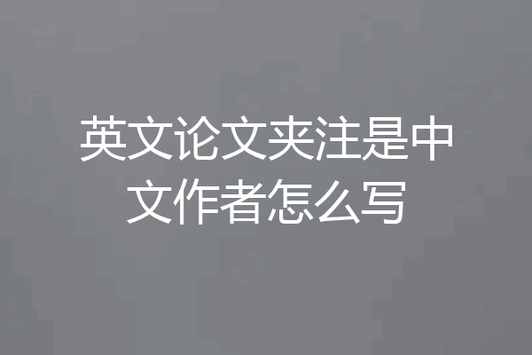 英文论文夹注是中文作者怎么写