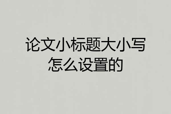 论文小标题大小写怎么设置的