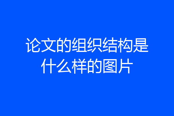 论文的组织结构是什么样的图片