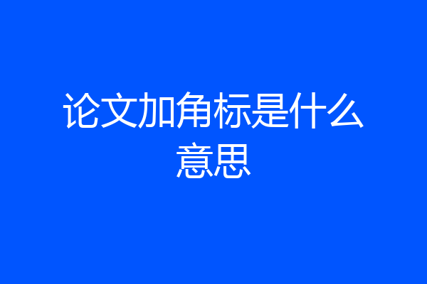 论文加角标是什么意思