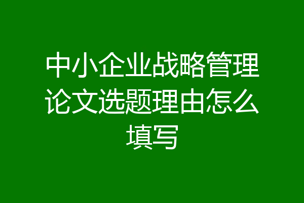 中小企业战略管理论文选题理由怎么填写