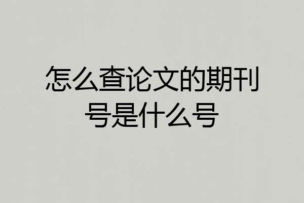 怎么查论文的期刊号是什么号