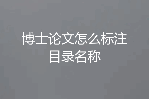 博士论文怎么标注目录名称