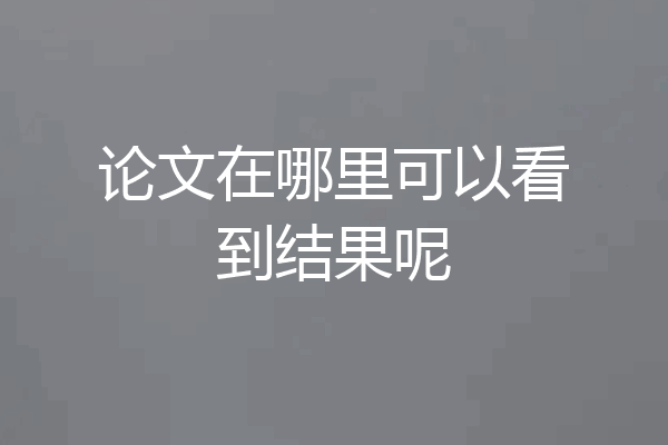 论文在哪里可以看到结果呢