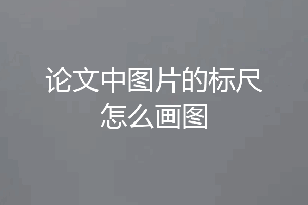 论文中图片的标尺怎么画图
