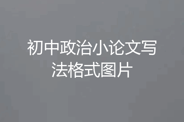 初中政治小论文写法格式图片