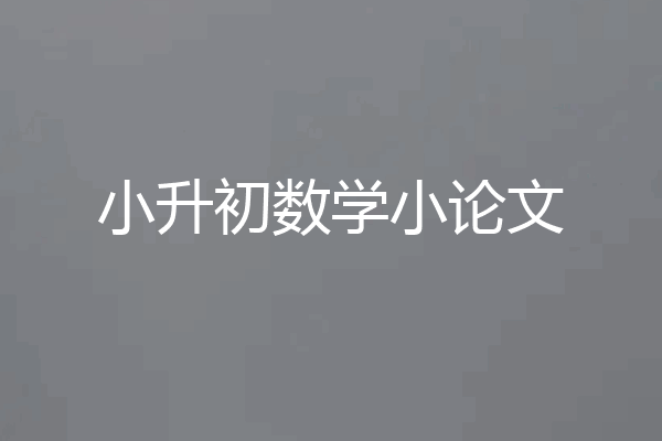 小升初数学小论文