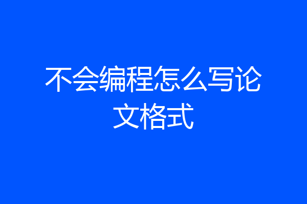 不会编程怎么写论文格式