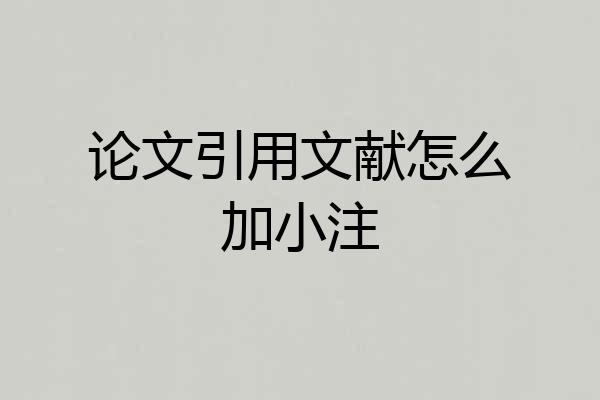 论文引用文献怎么加小注