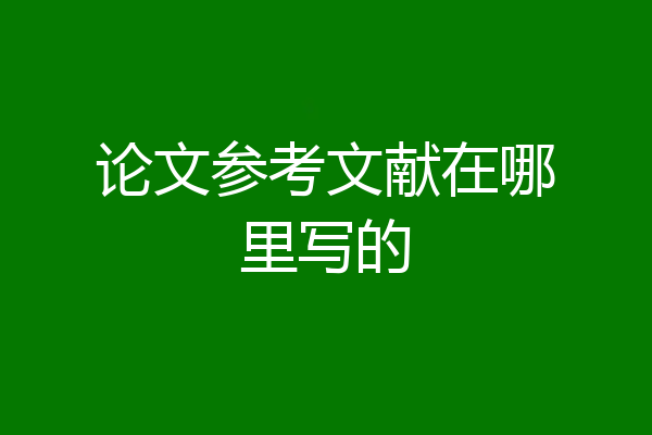 论文参考文献在哪里写的