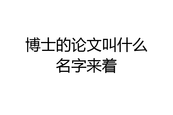 博士的论文叫什么名字来着