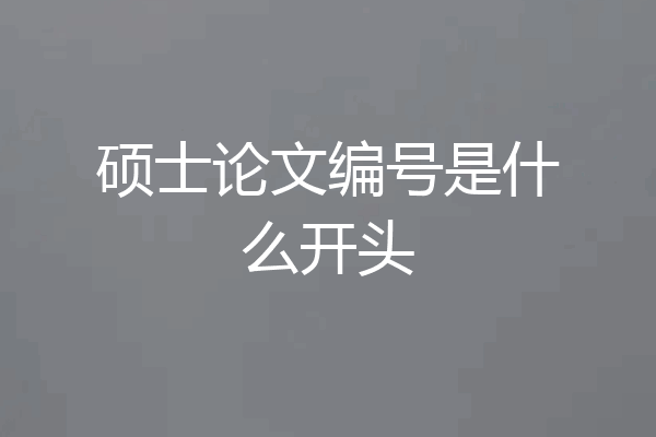 硕士论文编号是什么开头