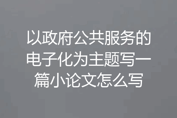 以政府公共服务的电子化为主题写一篇小论文怎么写
