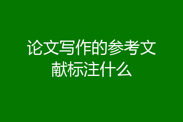 论文写作的参考文献标注什么