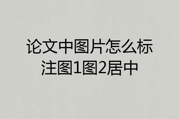 论文中图片怎么标注图1图2居中
