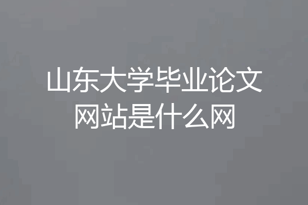 山东大学毕业论文网站是什么网