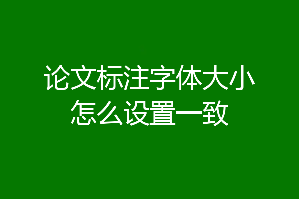 论文标注字体大小怎么设置一致