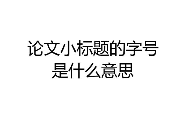 论文小标题的字号是什么意思