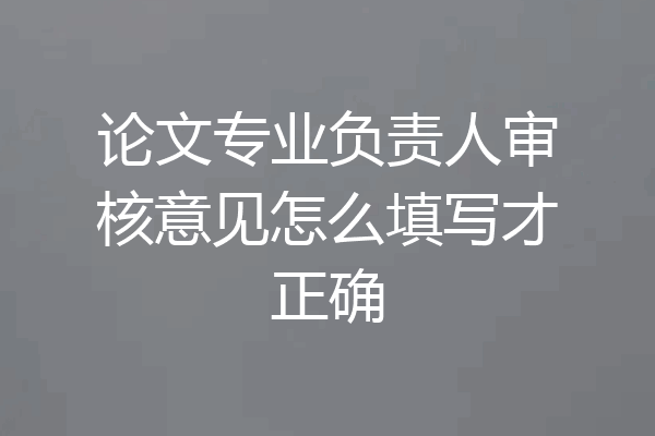 论文专业负责人审核意见怎么填写才正确