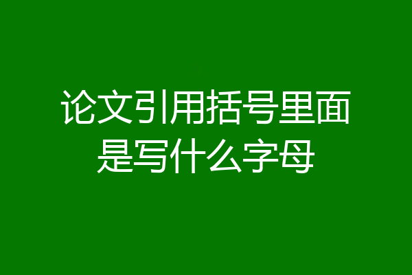 论文引用括号里面是写什么字母