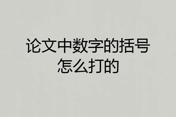 论文中数字的括号怎么打的
