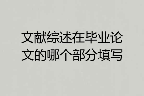 文献综述在毕业论文的哪个部分填写