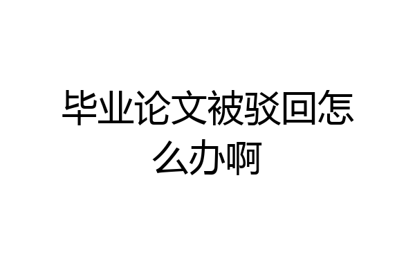 毕业论文被驳回怎么办啊